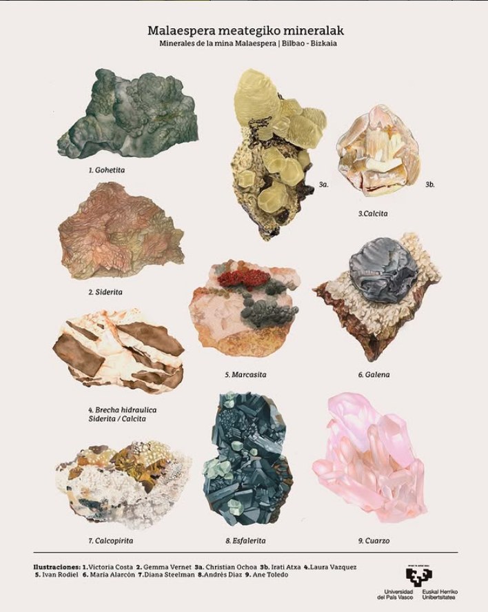 Lámina colectiva de minerales de la mina Malaespera