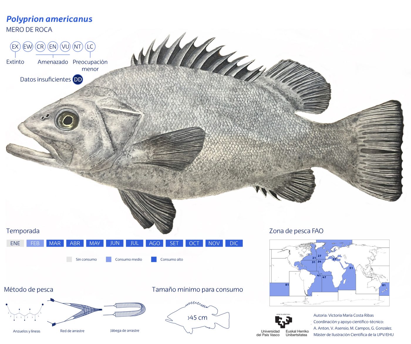 Ficha de especie Polyprion americanus